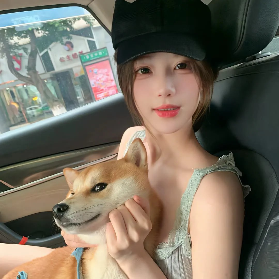公牛